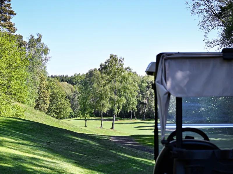Blick vom Golfcart über das Fairway zum Waldrand