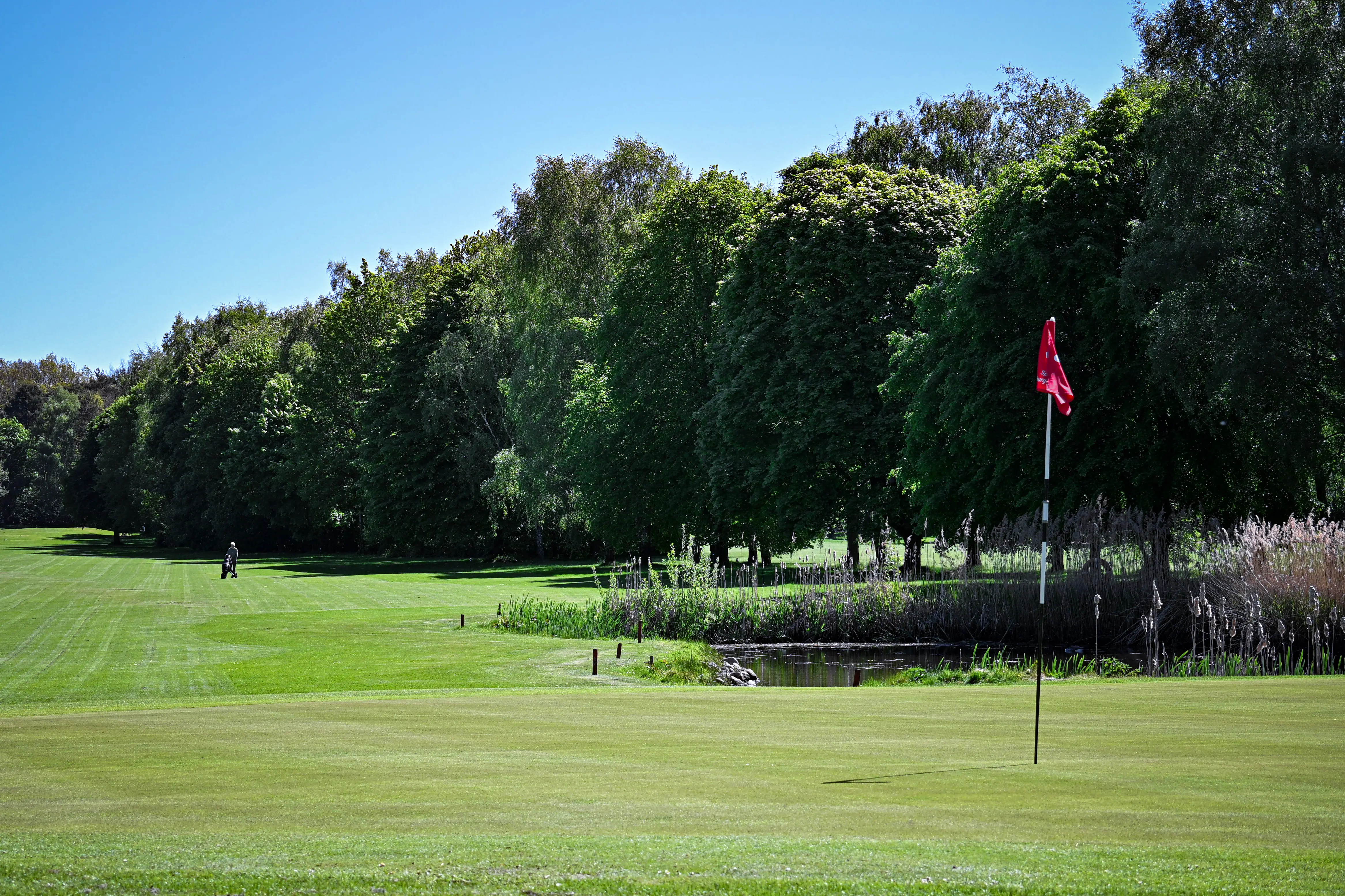 Golfer mit Trolley auf einem sonnigen Fairway am Wasserhindernis