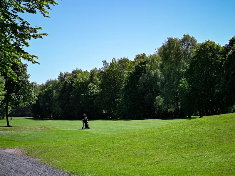 Golfer mit Trolley auf dem Fairway zwischen altem Baumbestand